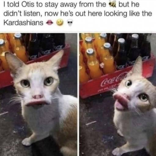 19455