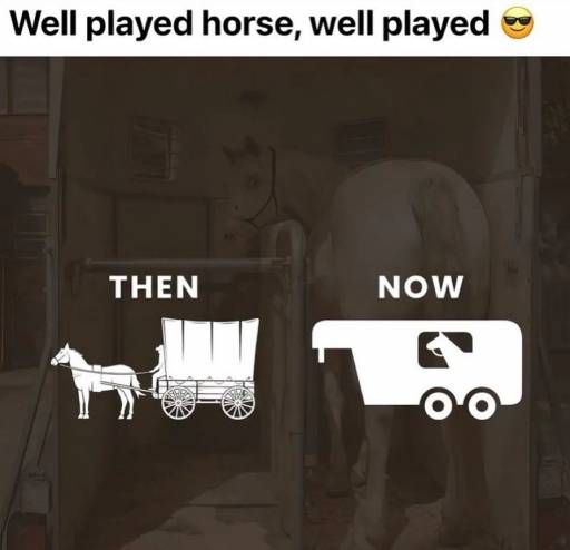 19658