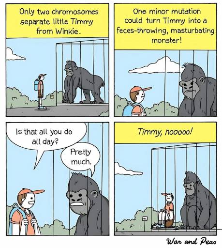 20043