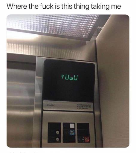 20184
