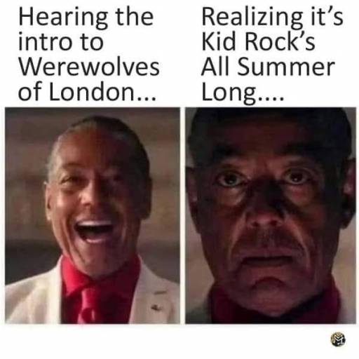 20193