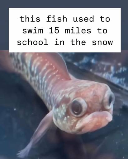 20218
