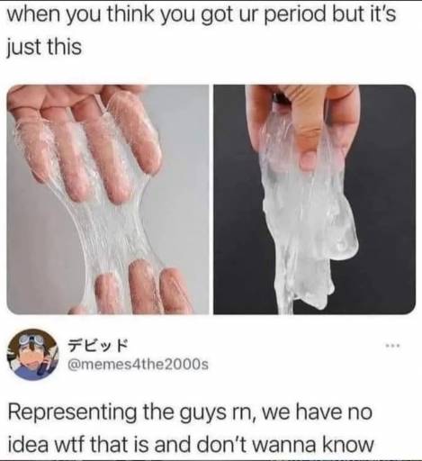20243