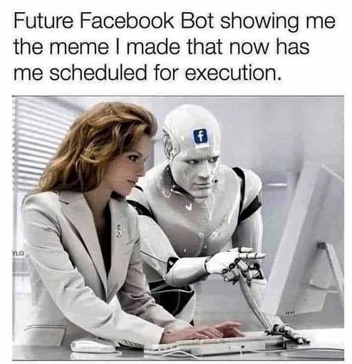 20253