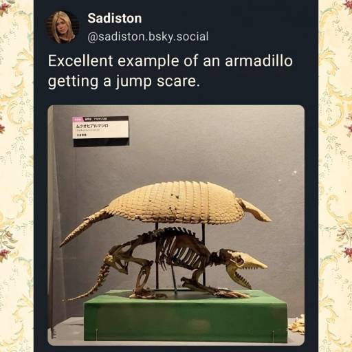 20258
