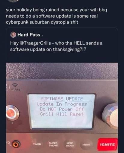 20273