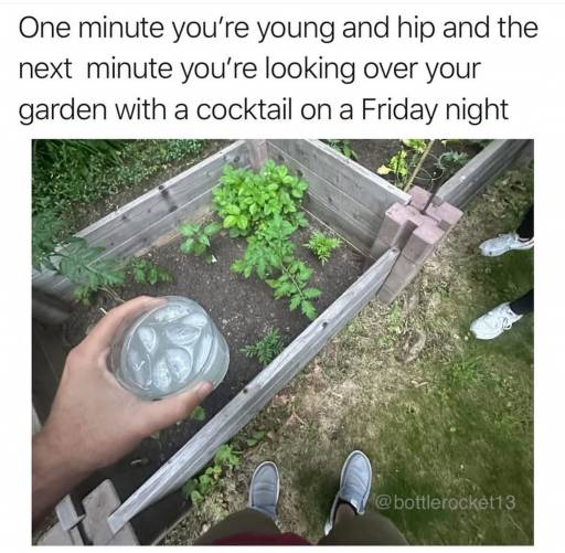 20283