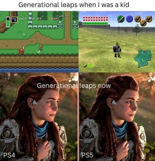 20288