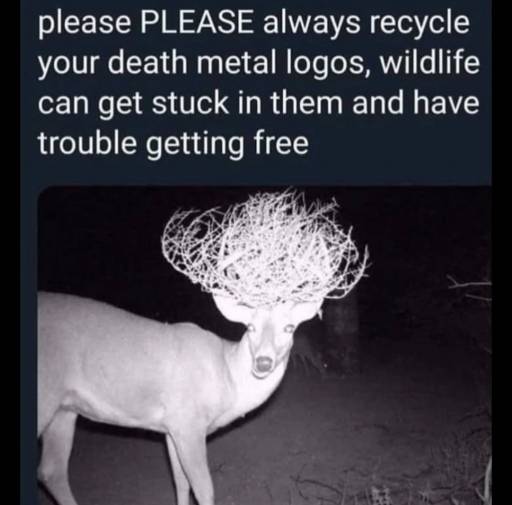 20291