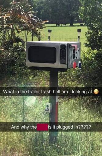 20293