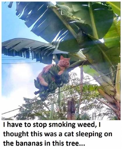 20306