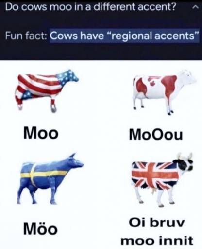 20345