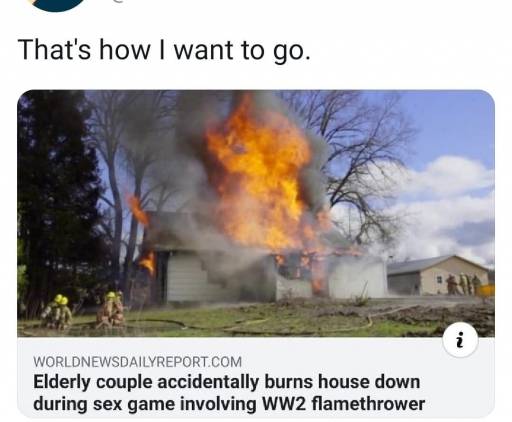 20376