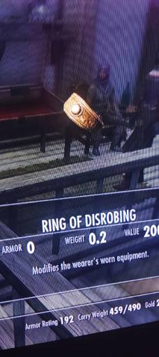 20391