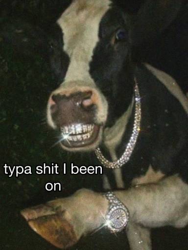20395