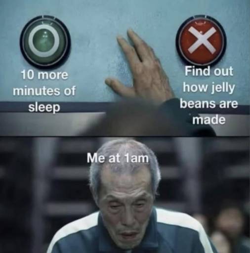 20409