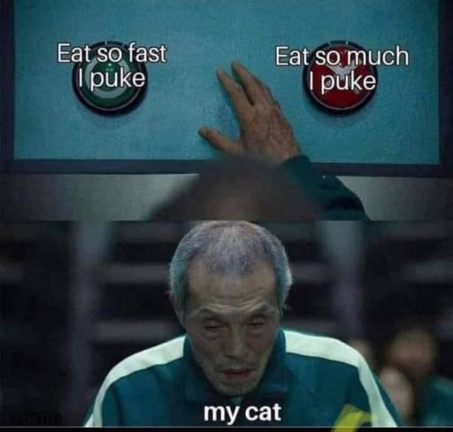 20421