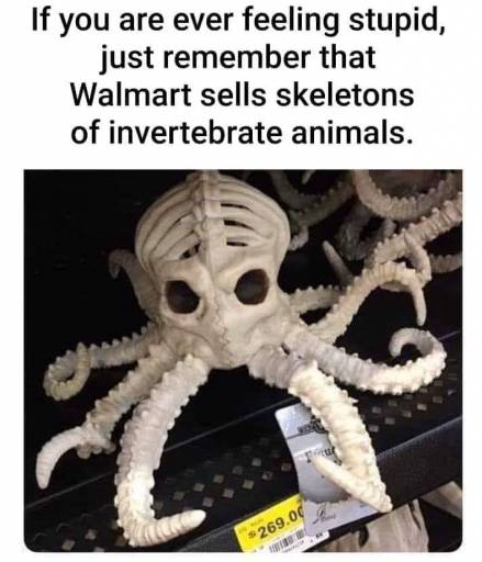 20427