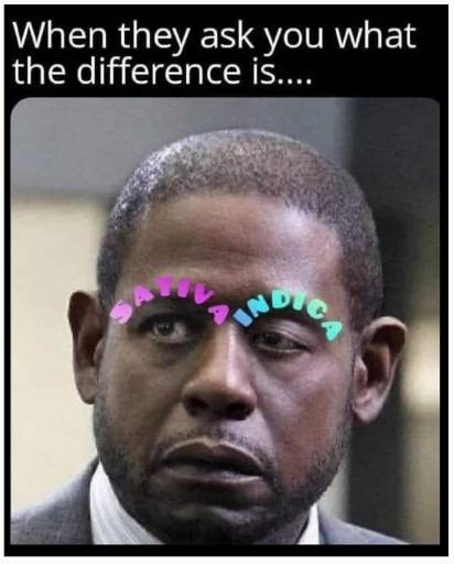 20428